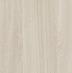 Jesion Werona - premium