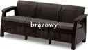 Brązowy