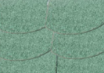 Zielony