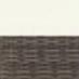Double brown / Beige